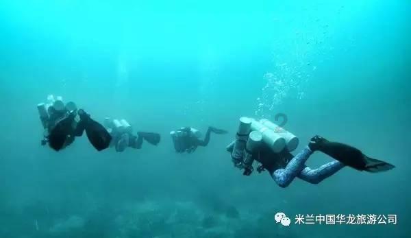 机智问答网页-探索智慧的银行卡不收不付冻结了如果挂失怎么办?世界